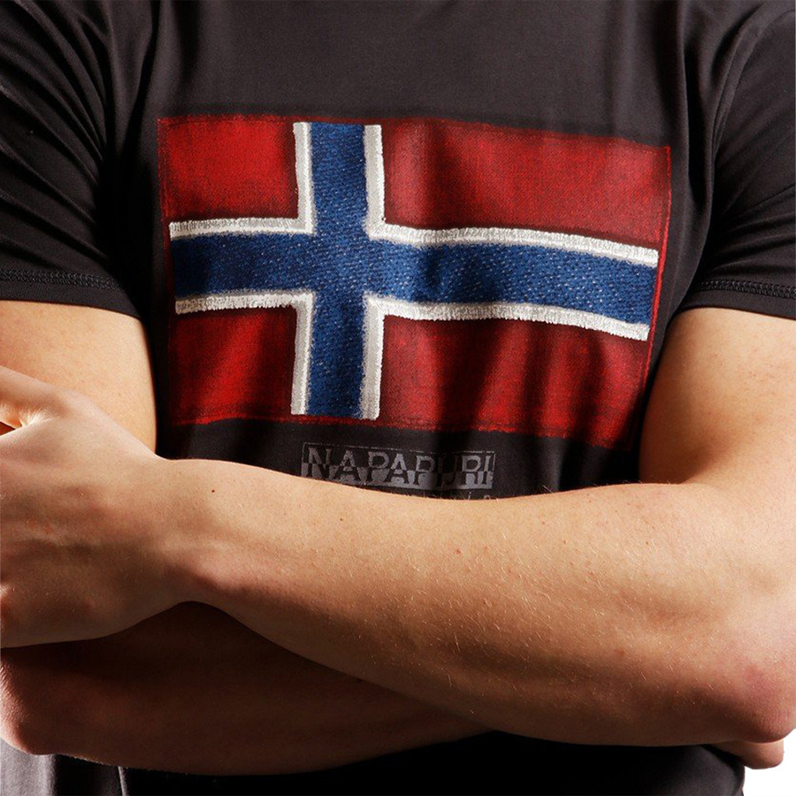 T-Shirt Męski NAPAPIJRI NP0A4F9R1601 Brązowy