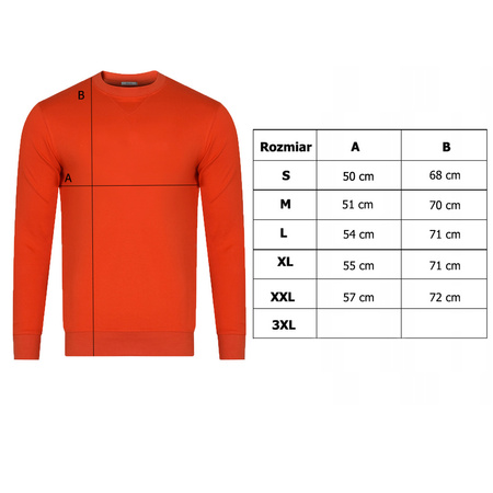 Bluza Męska PEPE JEANS Roslyn PM508713 Żółta