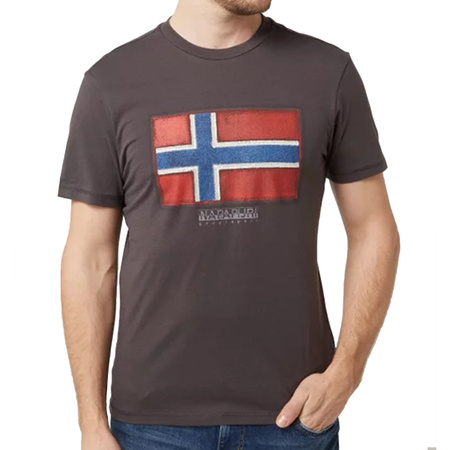 T-Shirt Męski NAPAPIJRI NP0A4F9R1601 Brązowy