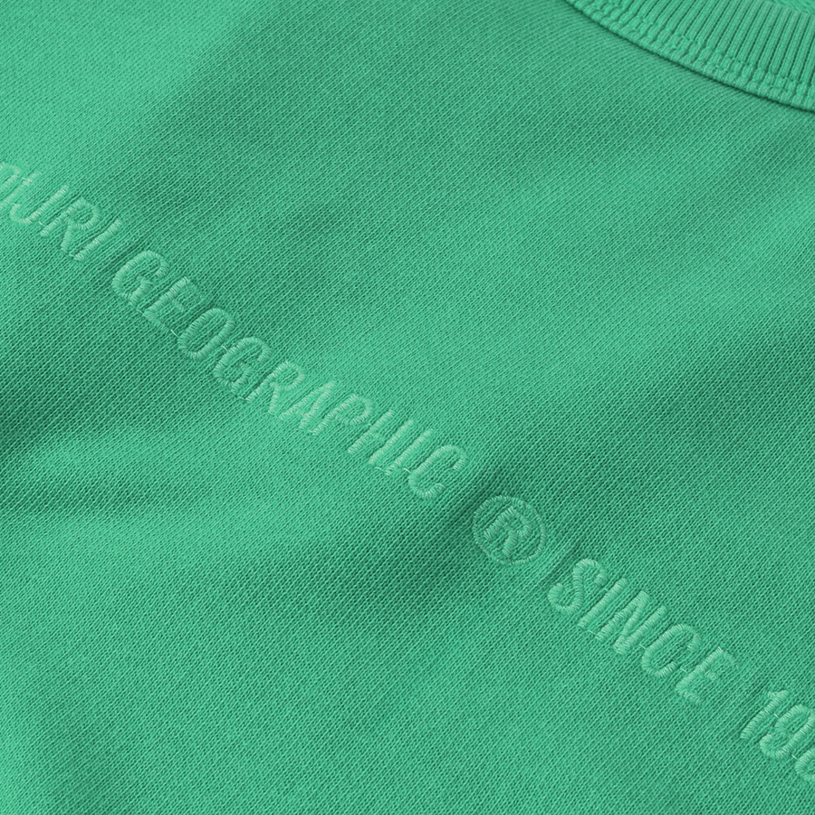 Bluza Meska NAPAPIJRI Zielona NP0A4FQZG -45%