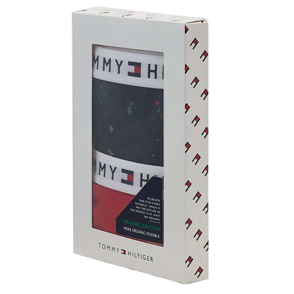 Majtki Dziecięce TOMMY HILFIGER 2-pack UG0UG00370