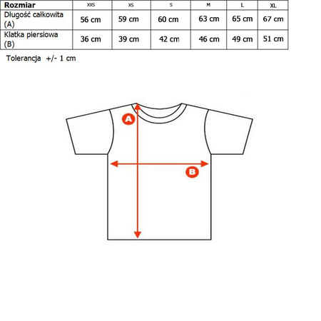 T-shirt Damski CALVIN KLEIN JEANS J20J207879 