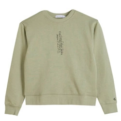 Bluza CALVIN KLEIN JEANS Youth Logo IB0IB01522