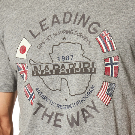 T-shirt Męski NAPAPIJRI NP0A4F6P Szary