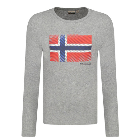 Longsleeve Męski NAPAPIJRI SIBU LS NP000IX1 Szara