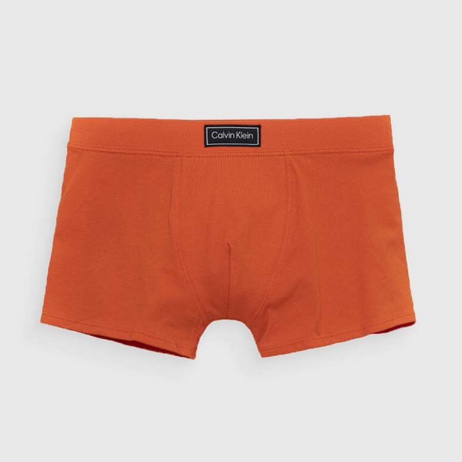 Bokserki Dziecięce CALVIN KLEIN 2-pack B70B700438