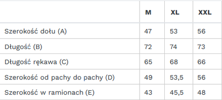 Longsleeve Męski GUESS ORIGINAL LOGO M0BI31 I3Z11