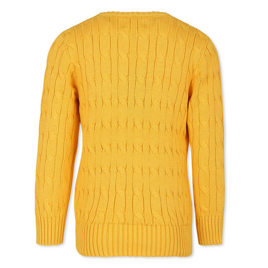 Sweter Dziecięcy  POLO RALPH LAUREN 323702674 Żółty