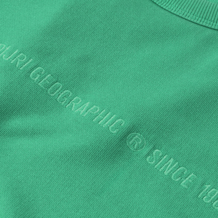 Bluza Meska NAPAPIJRI Zielona NP0A4FQZG -45%