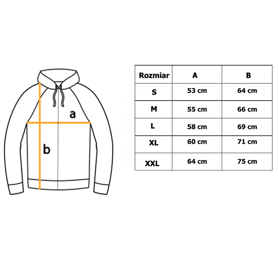 Bluza Męska U.S. POLO ASSN. USSWS4001 Granatowa