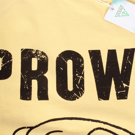 T-Shirt Męski GUESS Prowl M2GI33K9RM1