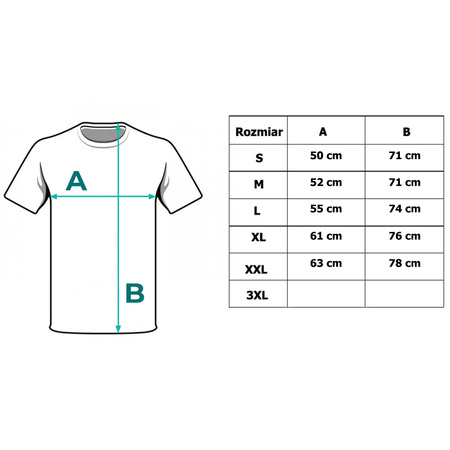 Koszula Męska TOMMY JEANS Tartan DM0DM13041 C87