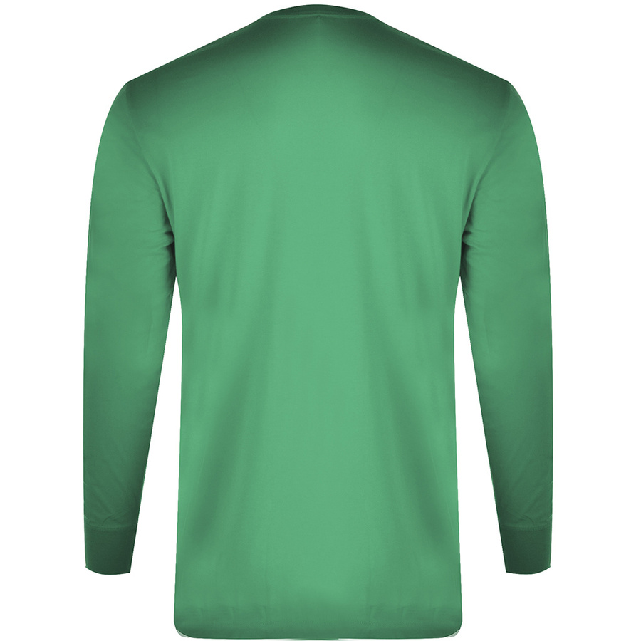 Longsleeve Meski NAPAPIJRI NP0A4FRQ Zielony