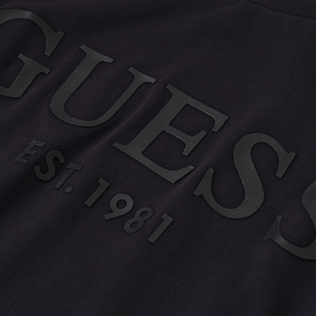 Longsleeve Męski GUESS Logo M2RI01 J1311