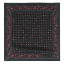 Poszetka jedwabna Polo Ralph Lauren 712918678001