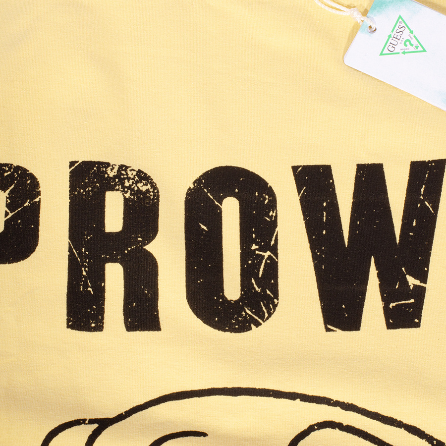 T-Shirt Męski GUESS Prowl M2GI33K9RM1