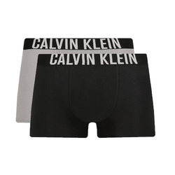 Bokserki Dziecięce CALVIN KLEIN 2-pack B70B700422 