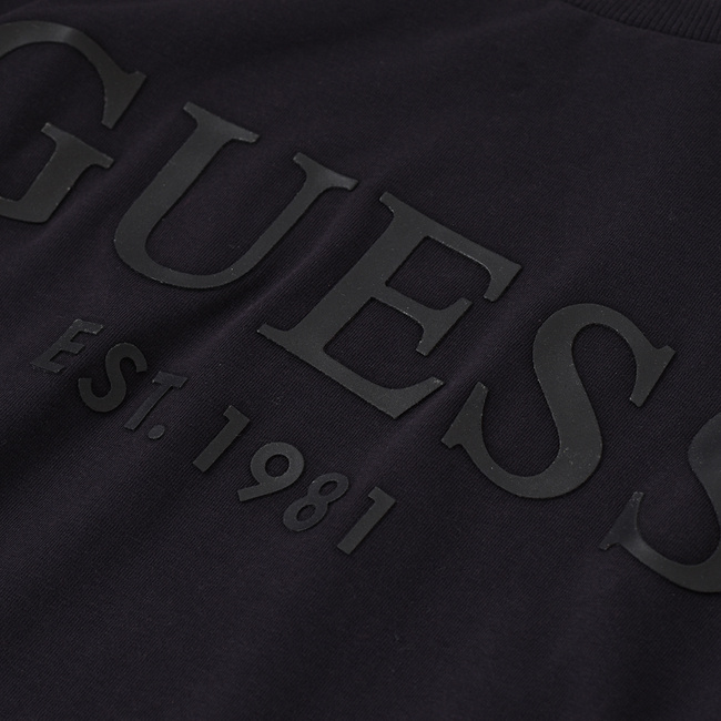 Longsleeve Męski GUESS Logo M2RI01 J1311