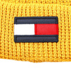 Czapka TOMMY HILFIGER Big Flag AU0AU01500 